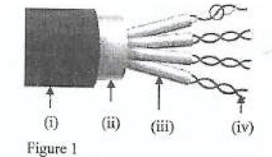 coaxial-cable-123554.JPG