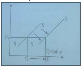 form-4-bst-studies-21420211147.JPG