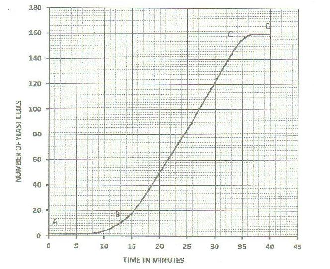 growthand-development-41420210706.JPG